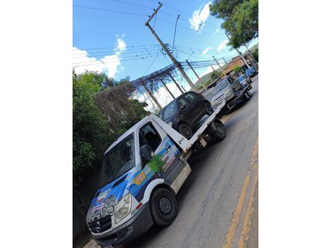 Guincho em Embu das Artes 