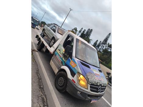 Guincho em Embu das Artes 